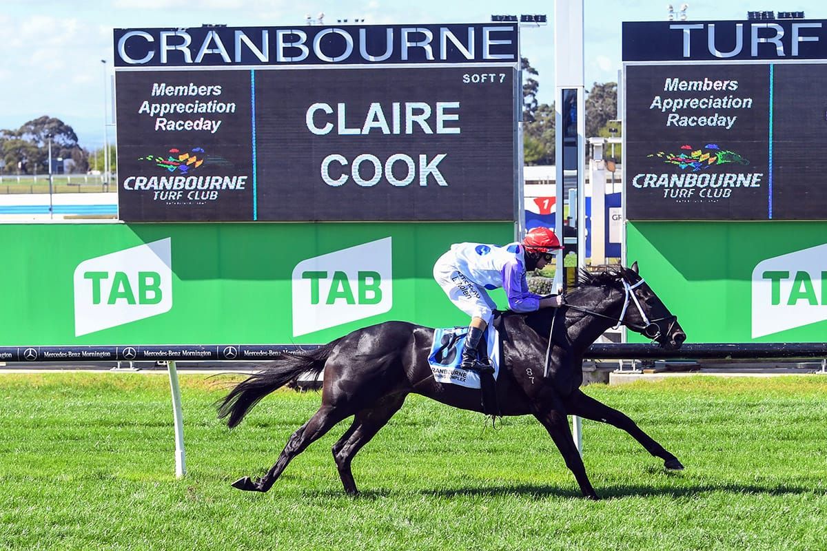 Bright future forecast for Cloud