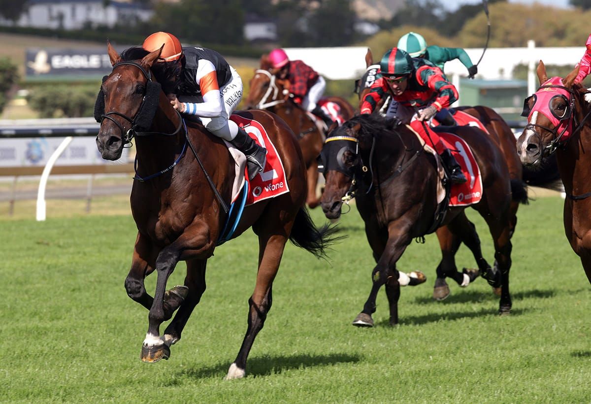 Sherwood Forest provides Pike with a quandary