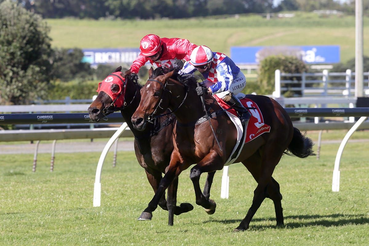 Course specialist in charge at Ellerslie