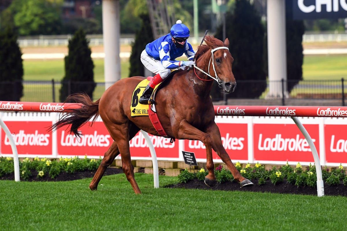 Simply Optimistic scores at the Valley