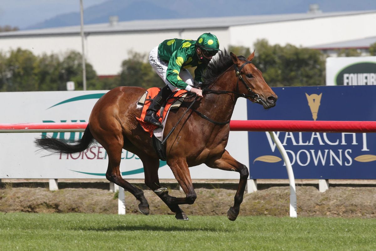 Sir Patrick sweet on promising filly