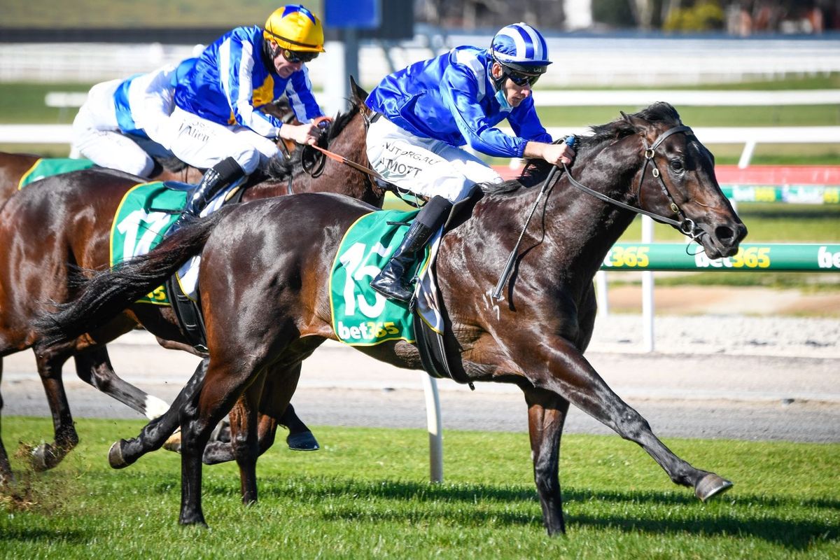 Patience paying off with Tanaawol