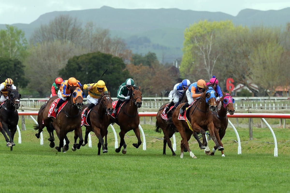 Beaten brigade set their sights on Windsor Park Plate