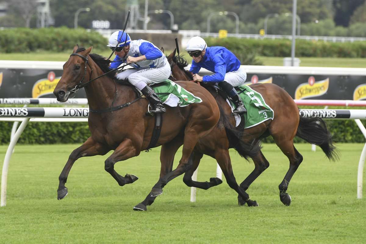 The Bostonian ruled out of spring