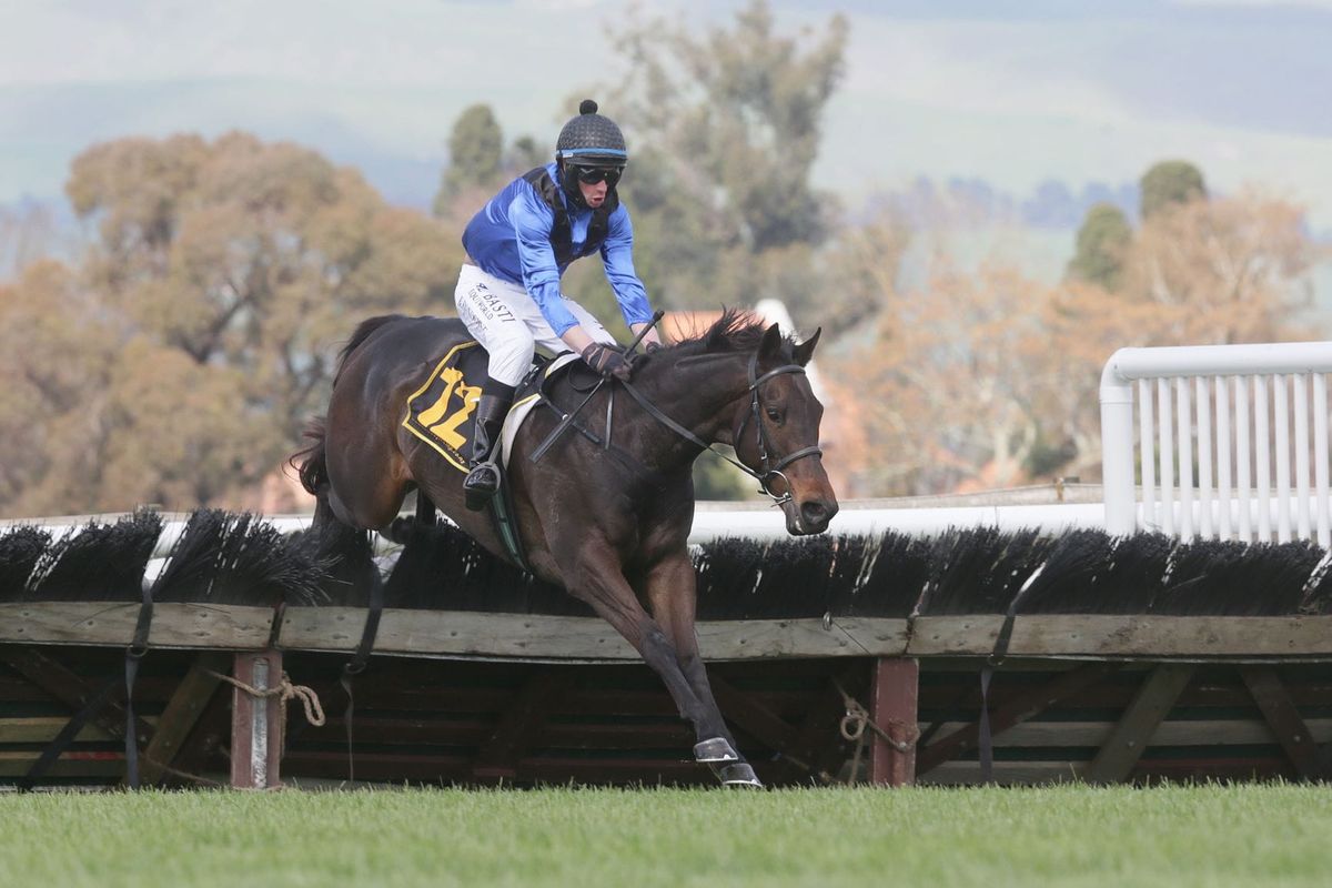 Outsider takes Hurdle feature at Hastings