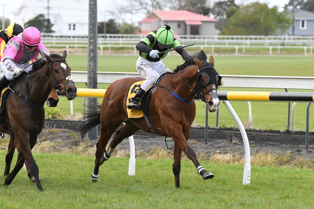 Riding return nigh for Phelan