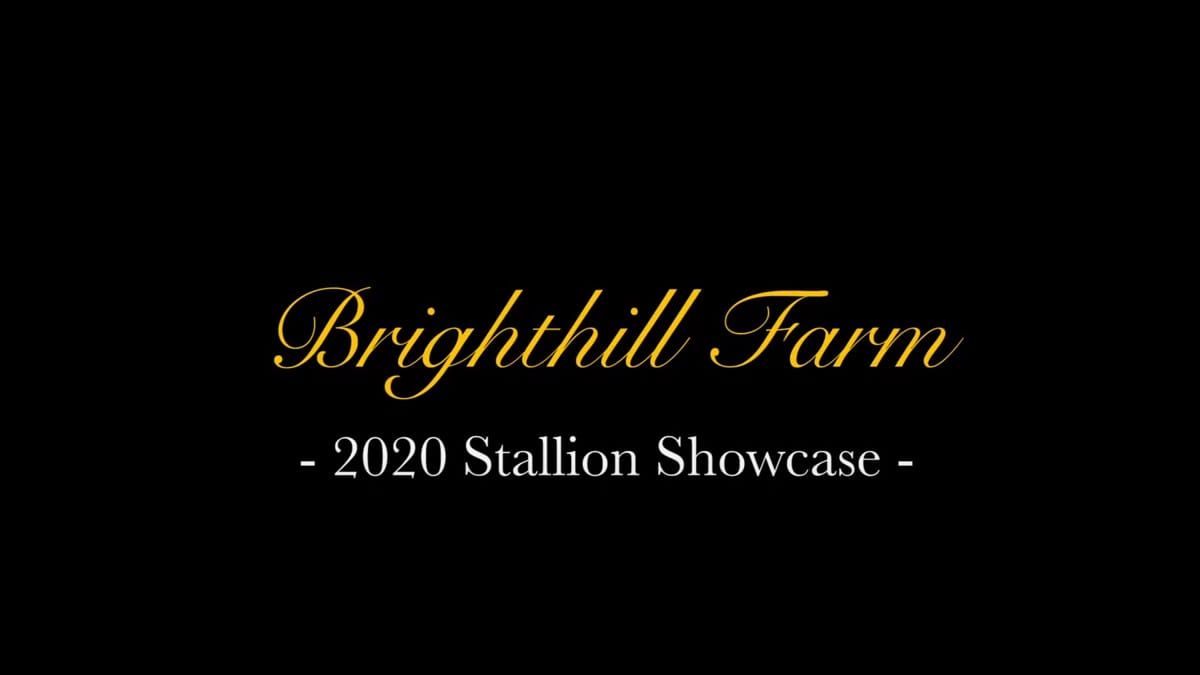 VIDEO: Brighthill Farm