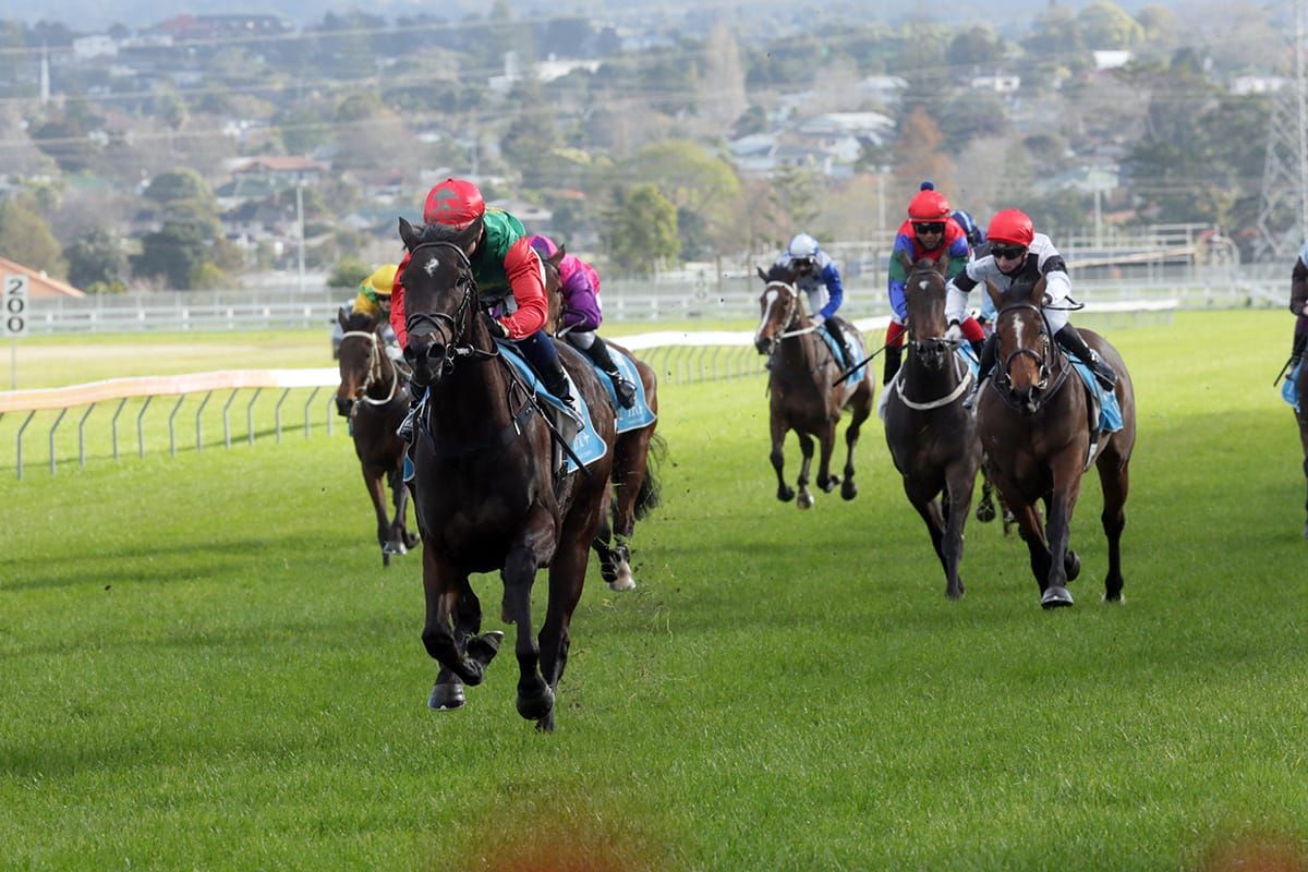 More in store for Vamos Bebe