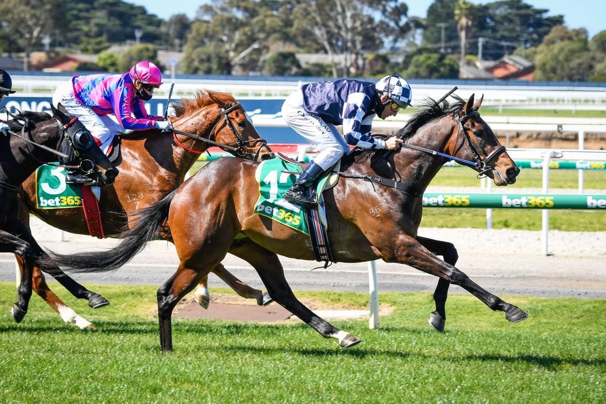 Derby target for Young Werther