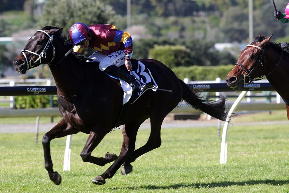 McNab finds winning groove at Ellerslie