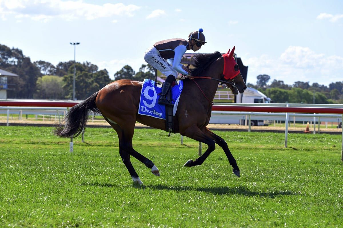 Tavistock’s Stylebender earns Bondi shot