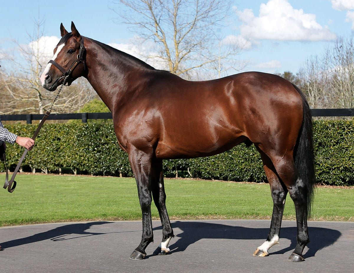 Belardo’s Lullaby Moon lands Two-Year-Old Trophy