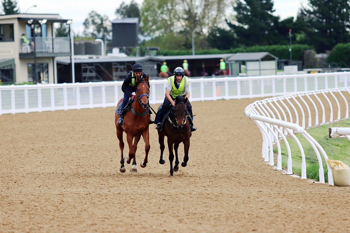 Cambridge Polytrack open for business