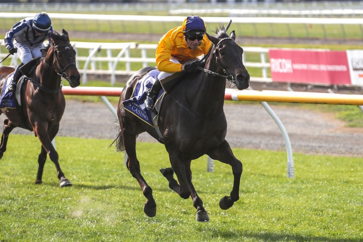 New Zealand Cup target for Communique