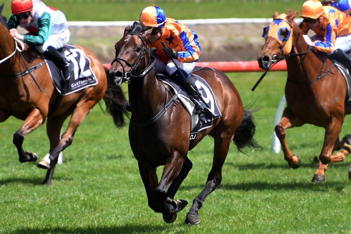 Entriviere a dominant Tauranga winner