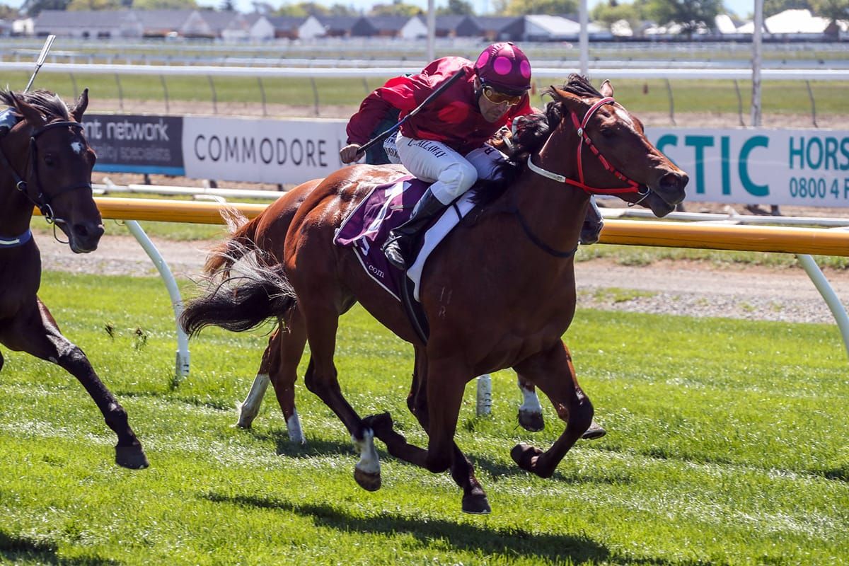 Rae’s phone red hot after speedy juvenile wins again