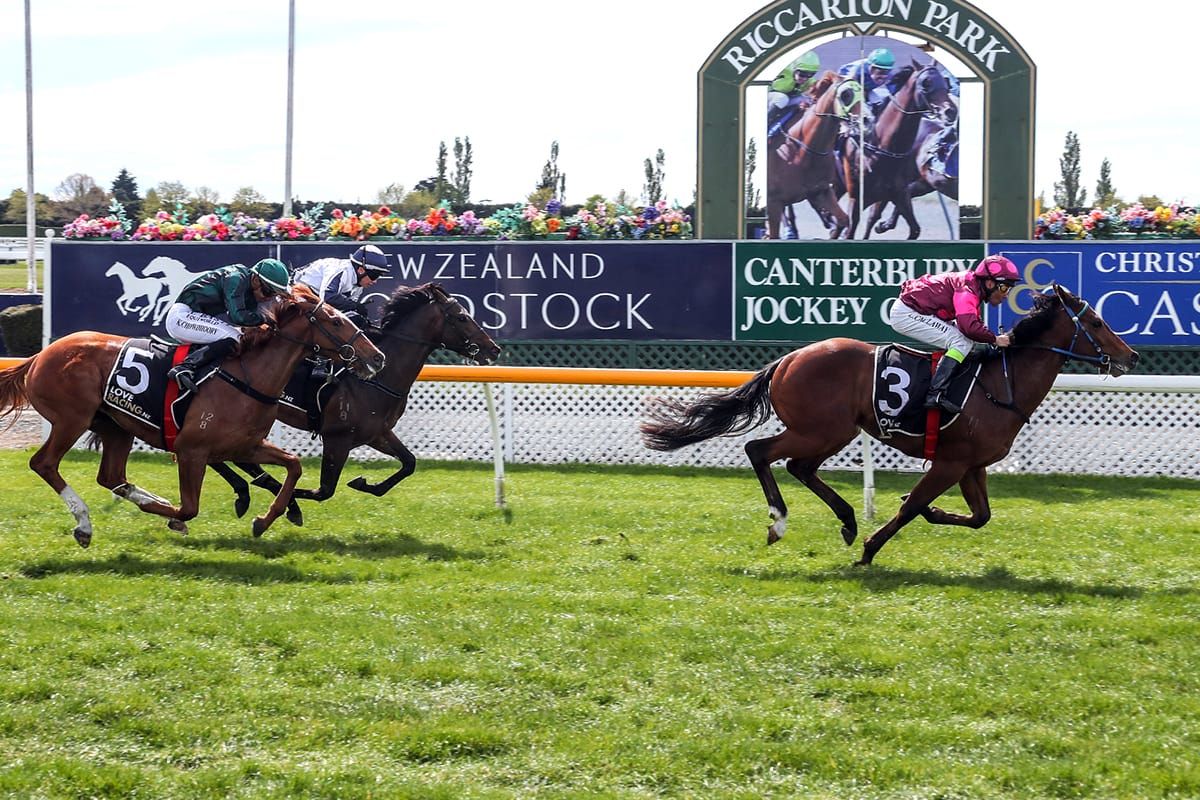 Rae colt dominates Riccarton two-year-old contest