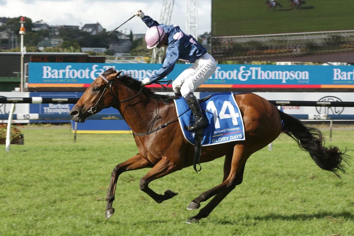Glory Days on track for Livamol
