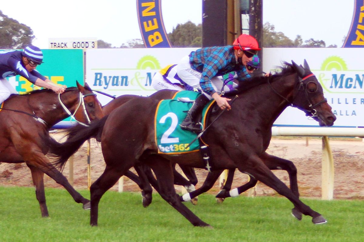 Harlech lands Benalla Cup