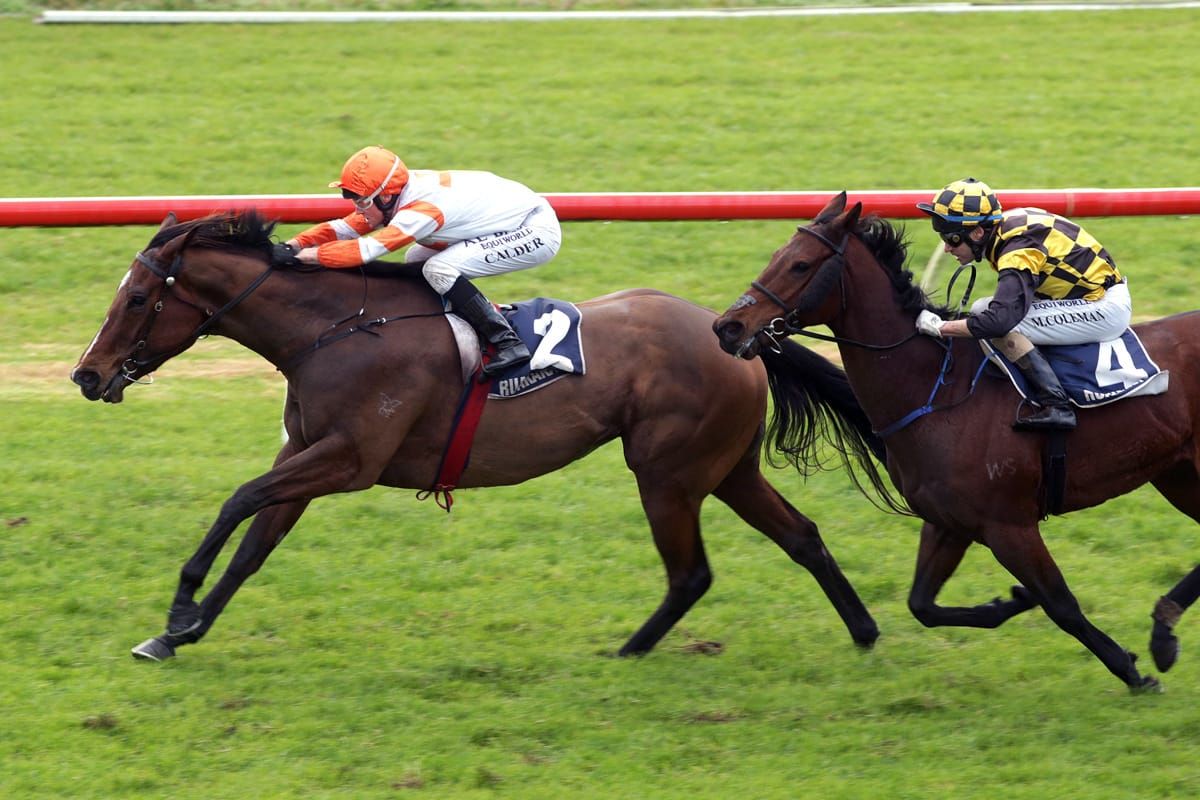 Hello It’s Me retired