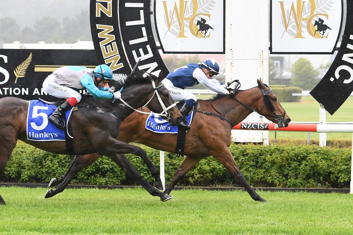 Hold The Press a headline act at Trentham