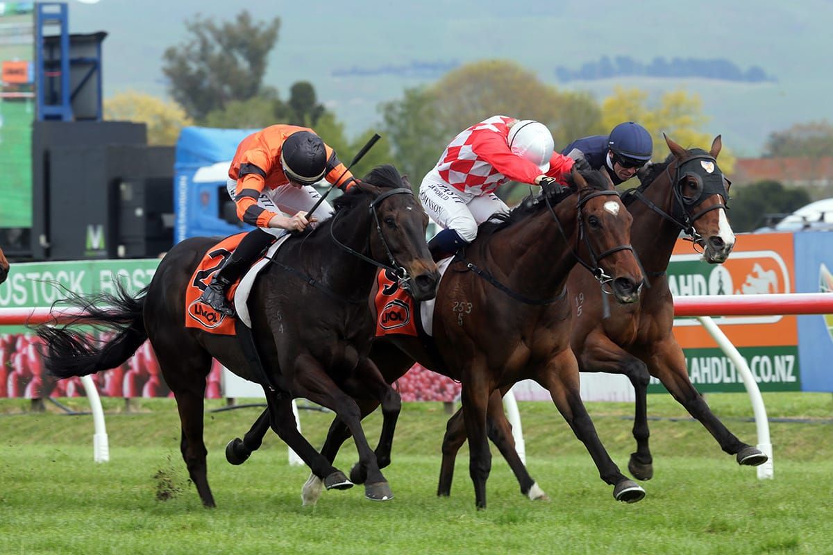 Hypnos takes Hastings sprint with gritty performance