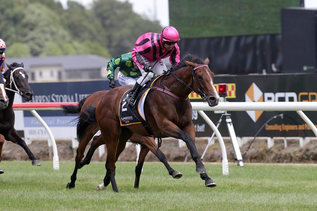 Jumps fraternity joins forces for Australian campaigns