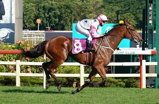 Inferno destroys best sprinters in Lion City Cup