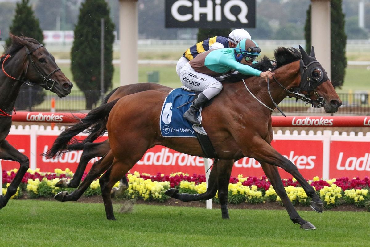 Irish Flame finds the post