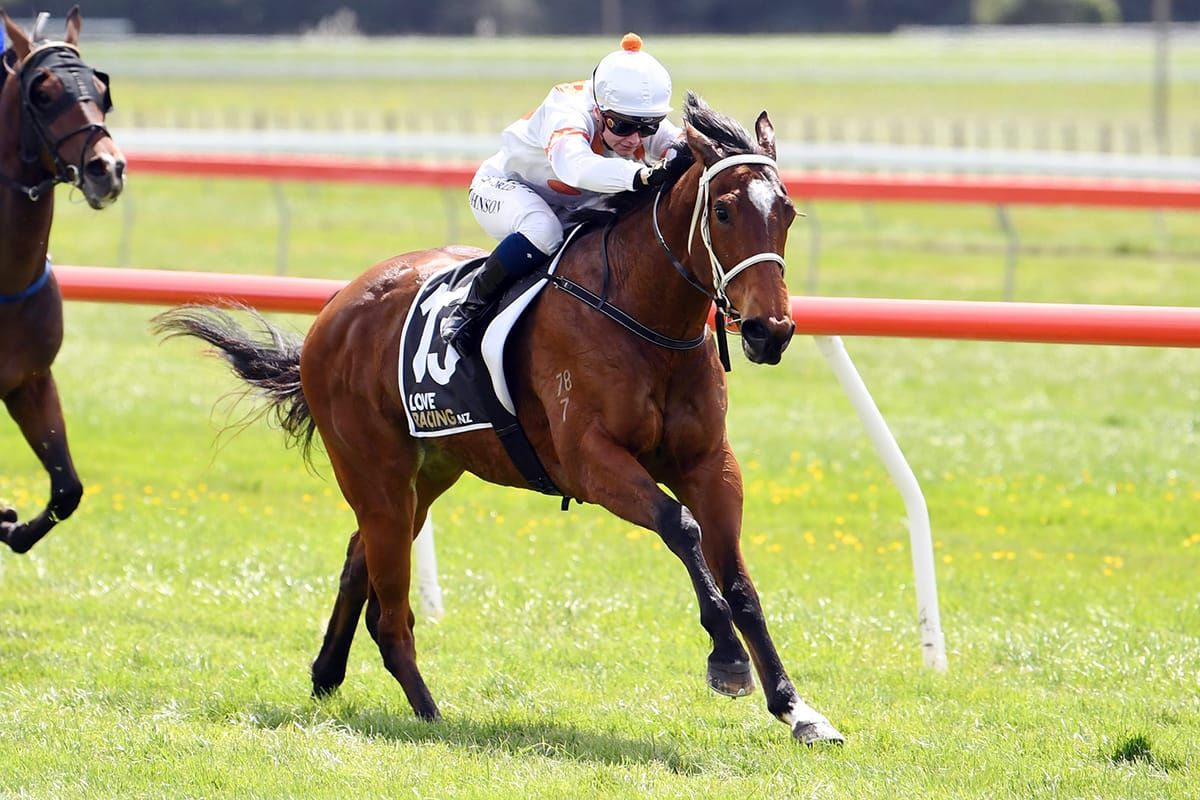 Fillies hold the key for Otaki trainers