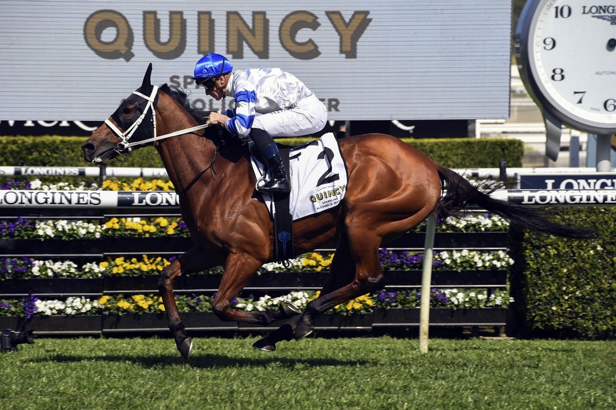 Kolding climbs Hill to earn Cox Plate tilt