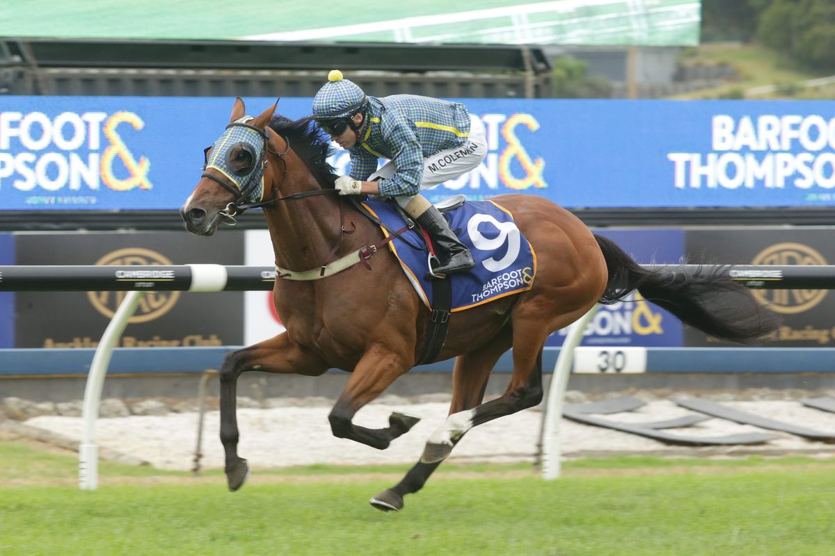 London Banker primed for Feilding Gold Cup