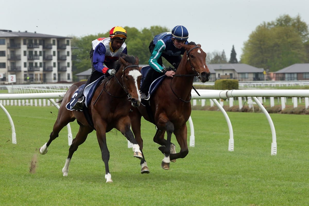 Ready to Run Parade Schedule