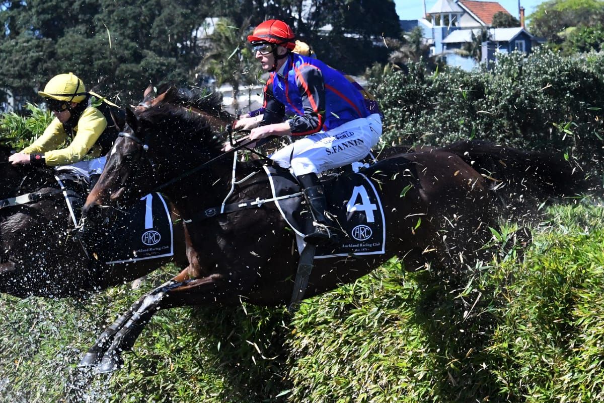 Spectacular scenes during famous Ellerslie steeplechase