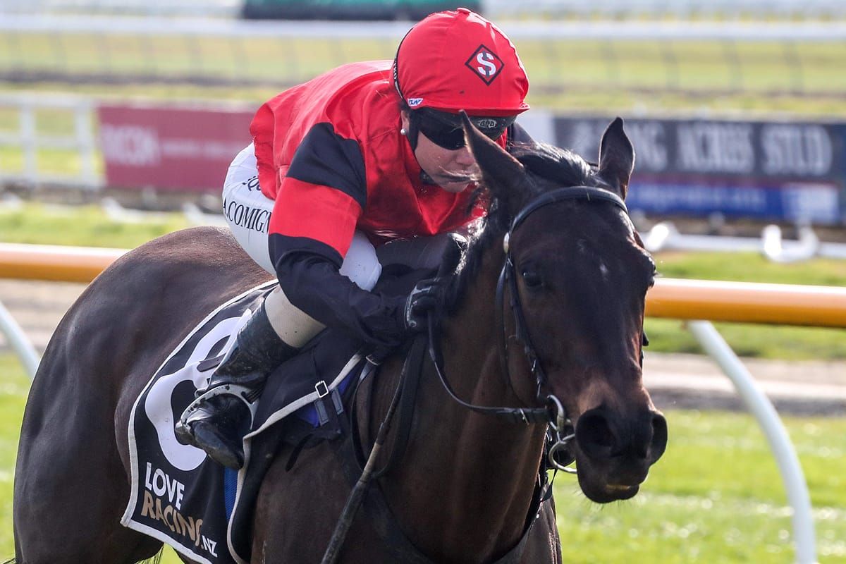 Wanzare finds a match with Kiwi fillies