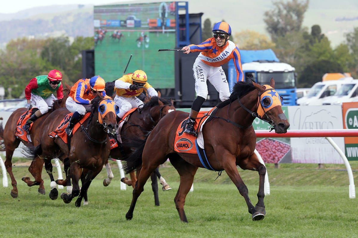 Unfinished Mackinnon business for Melody Belle