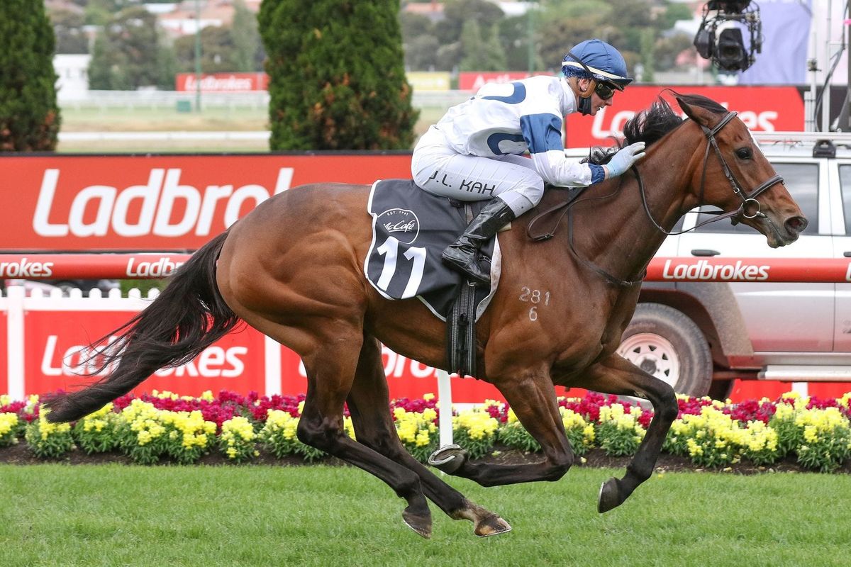 Kiwi mare Melbourne Cup bound