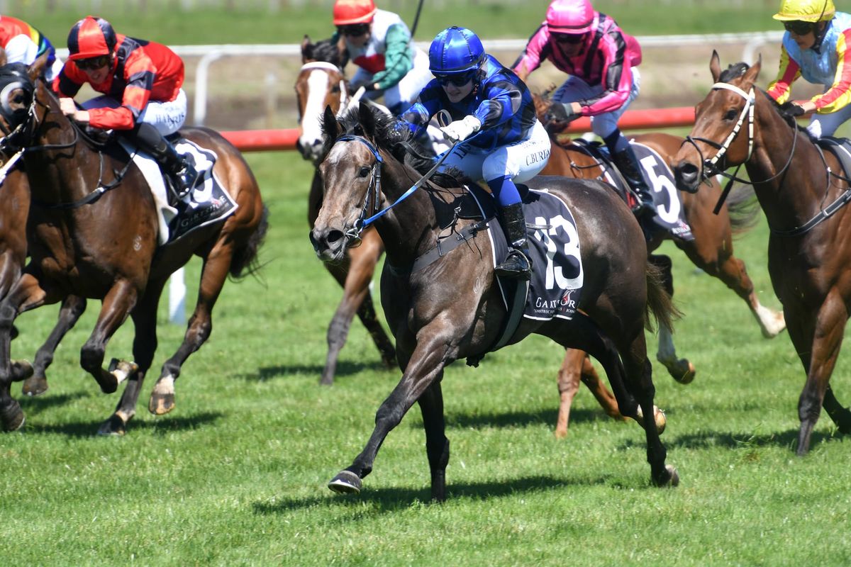 Mistress Minx one to watch