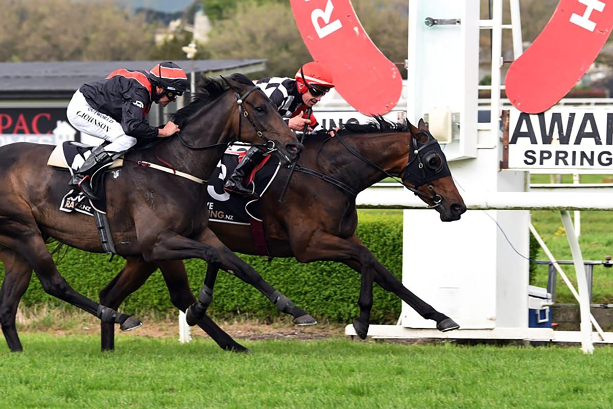 Mohaka leads throughout in Feilding Gold Cup