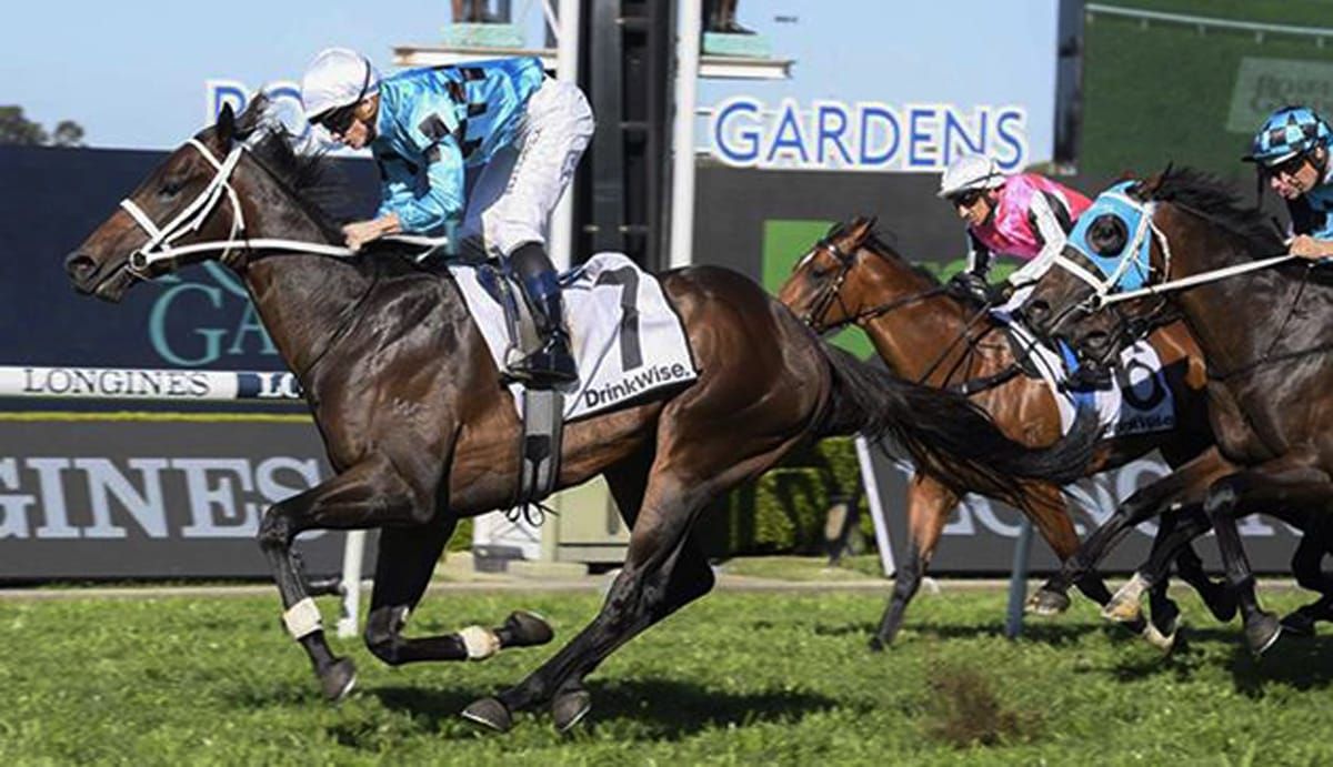 Neasham still considering Cox Plate options