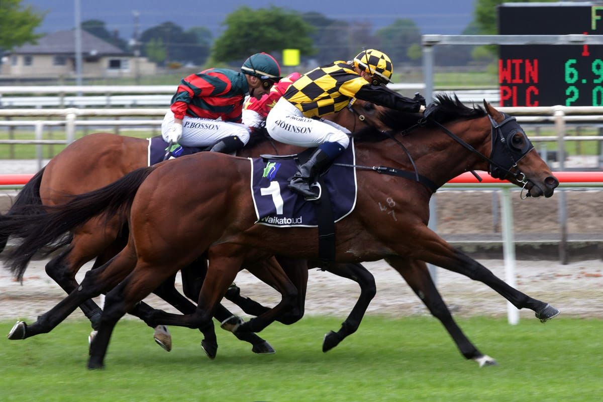 2000 Guineas Not An Option