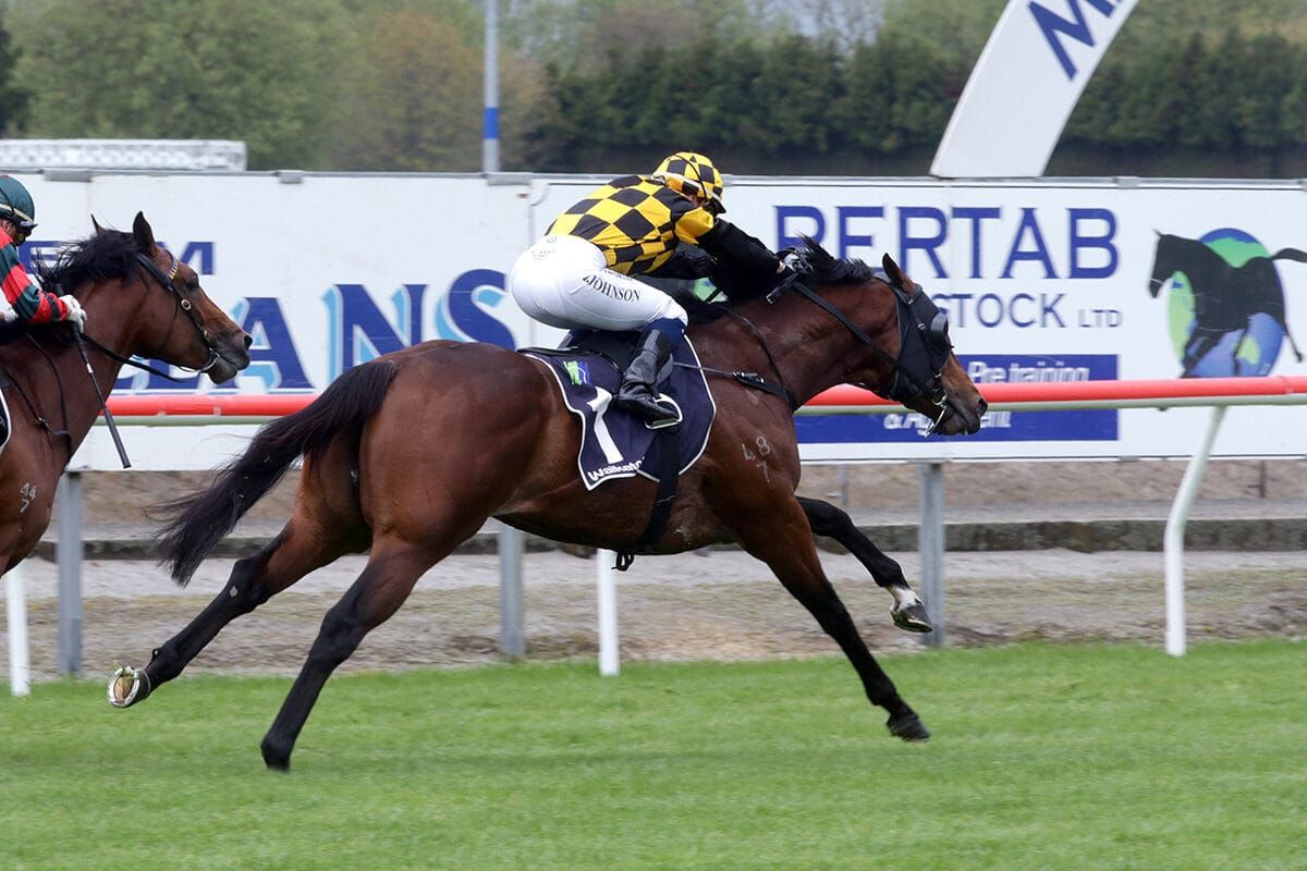 Not An Option on top at Matamata