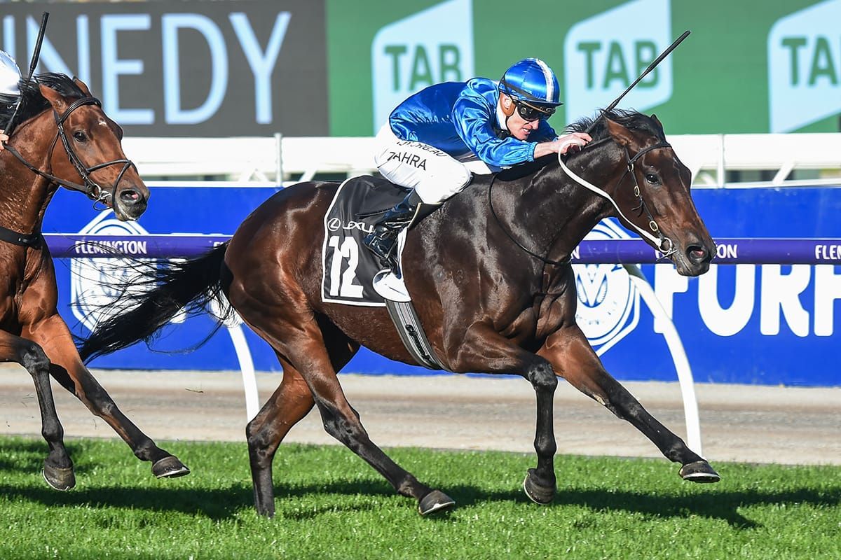 Oceanex in doubt for Cup