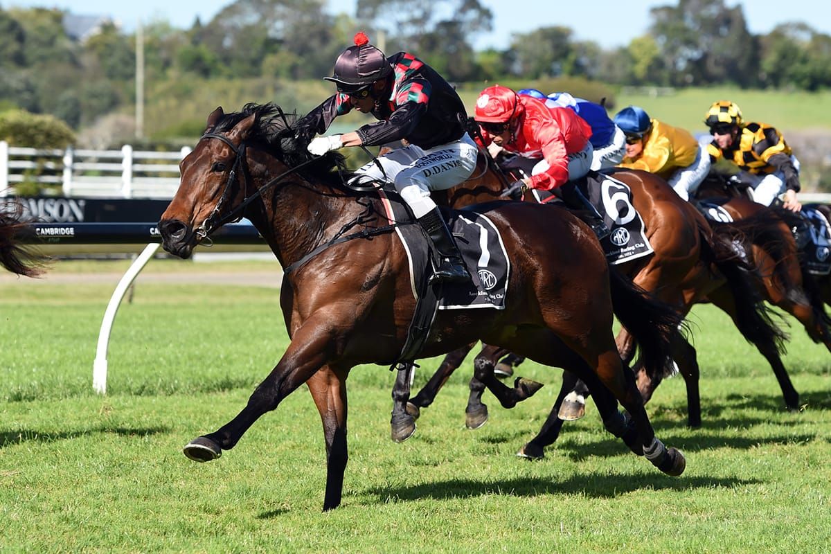 Paisley Park a summer cups contender