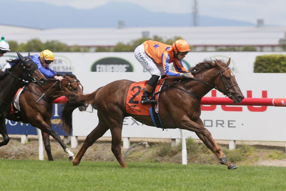 Top start for Te Akau at Te Rapa
