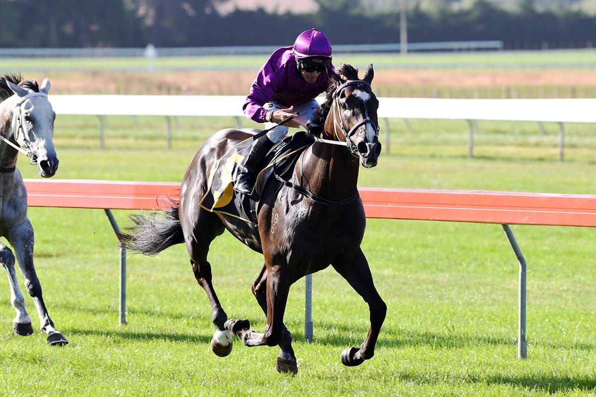 Platinum Invador vying for Cup berth