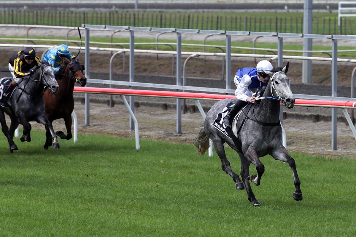 Polly Grey on Gold hunt