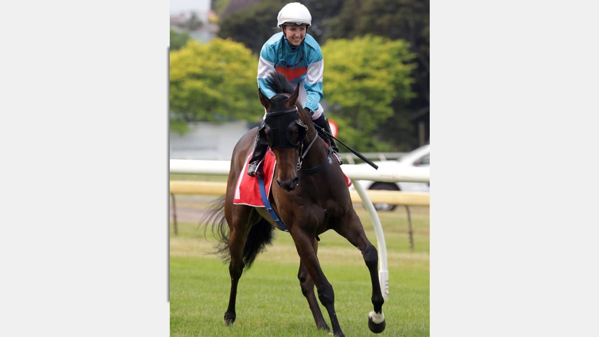 Golden Eagle target ideal for Riodini