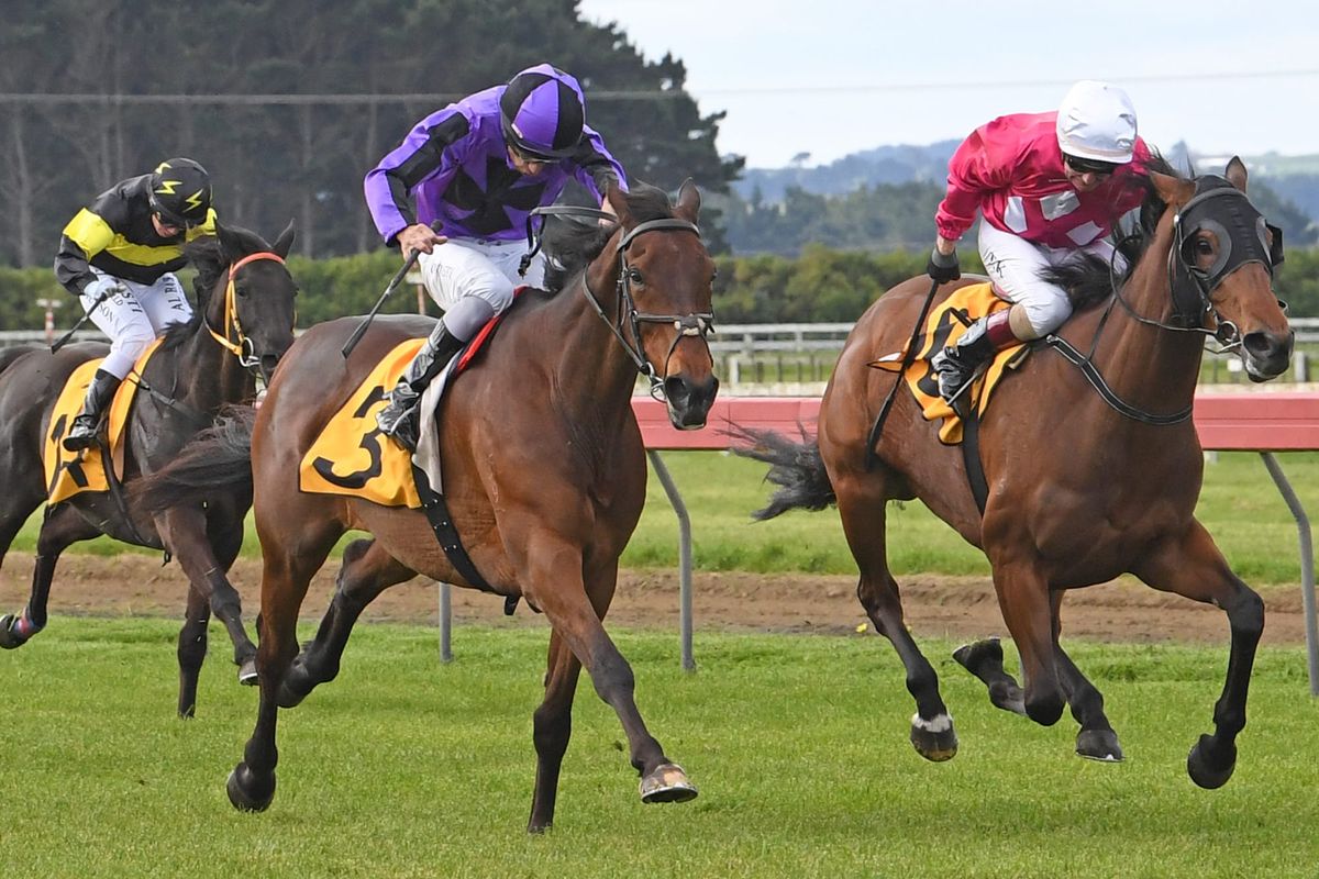 Old-timer Sampson has still got it