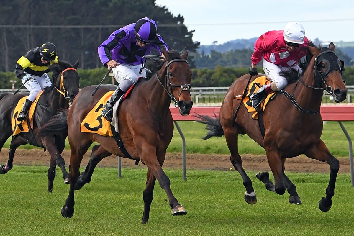 Evergreen Sampson continues to please